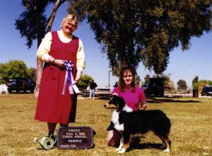 Cody going Reserve Winners Dog at ASCAZ under Judge Carol Kriesel, April 5, 1998.          